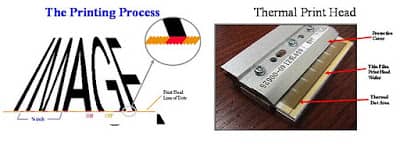 Thermal Printing Process