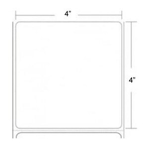 Epson ColorWorks C3400/C3500 4" x 4" Gloss Paper Labels (8 Rolls) - L-IJ-GP44250-2