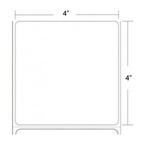 Epson ColorWorks C7500 4" x 4" Gloss Paper Labels (2 Rolls) - L-IJ-GP441250-3