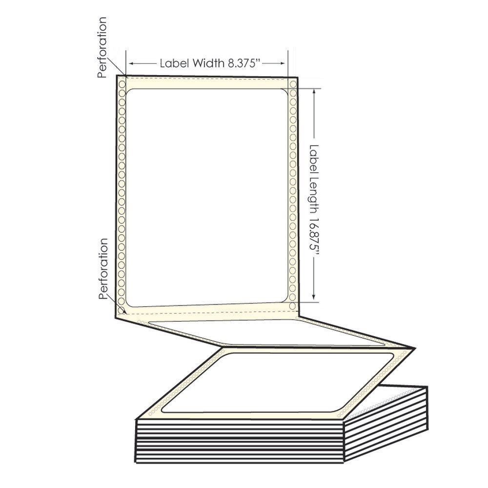 Epson ColorWorks C831 8.375" x 10.875" Pinfed Fanfold Matte Poly Film Labels (1000 Sheets)