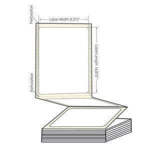 Epson ColorWorks C831 8.375" x 16.875" Pinfed Fanfold Matte Poly Film Labels (500 Sheets) - L-IJ-837516875F
